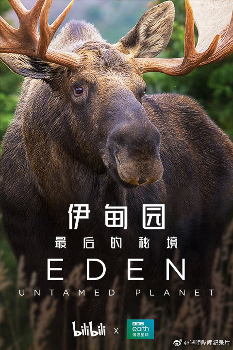 伊甸园：最后的秘境的海报-角色海报 中国大陆