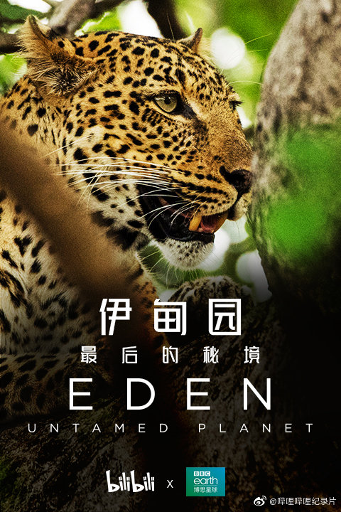伊甸园：最后的秘境的海报-角色海报 中国大陆