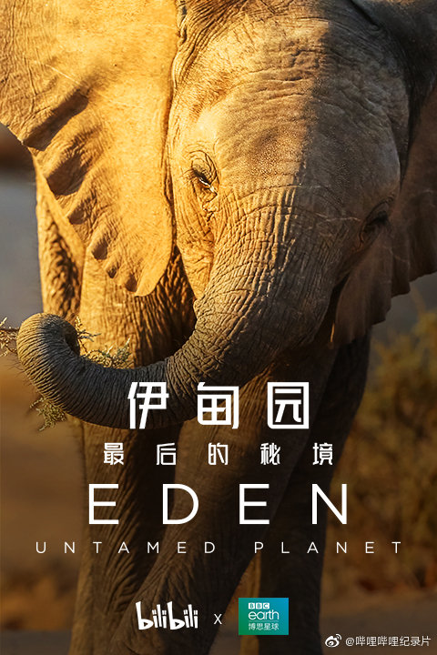 伊甸园：最后的秘境的海报-角色海报 中国大陆