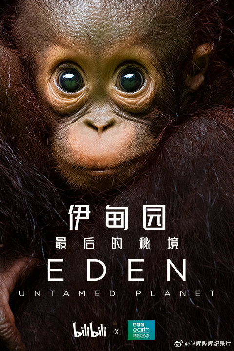 伊甸园：最后的秘境的海报-角色海报 中国大陆