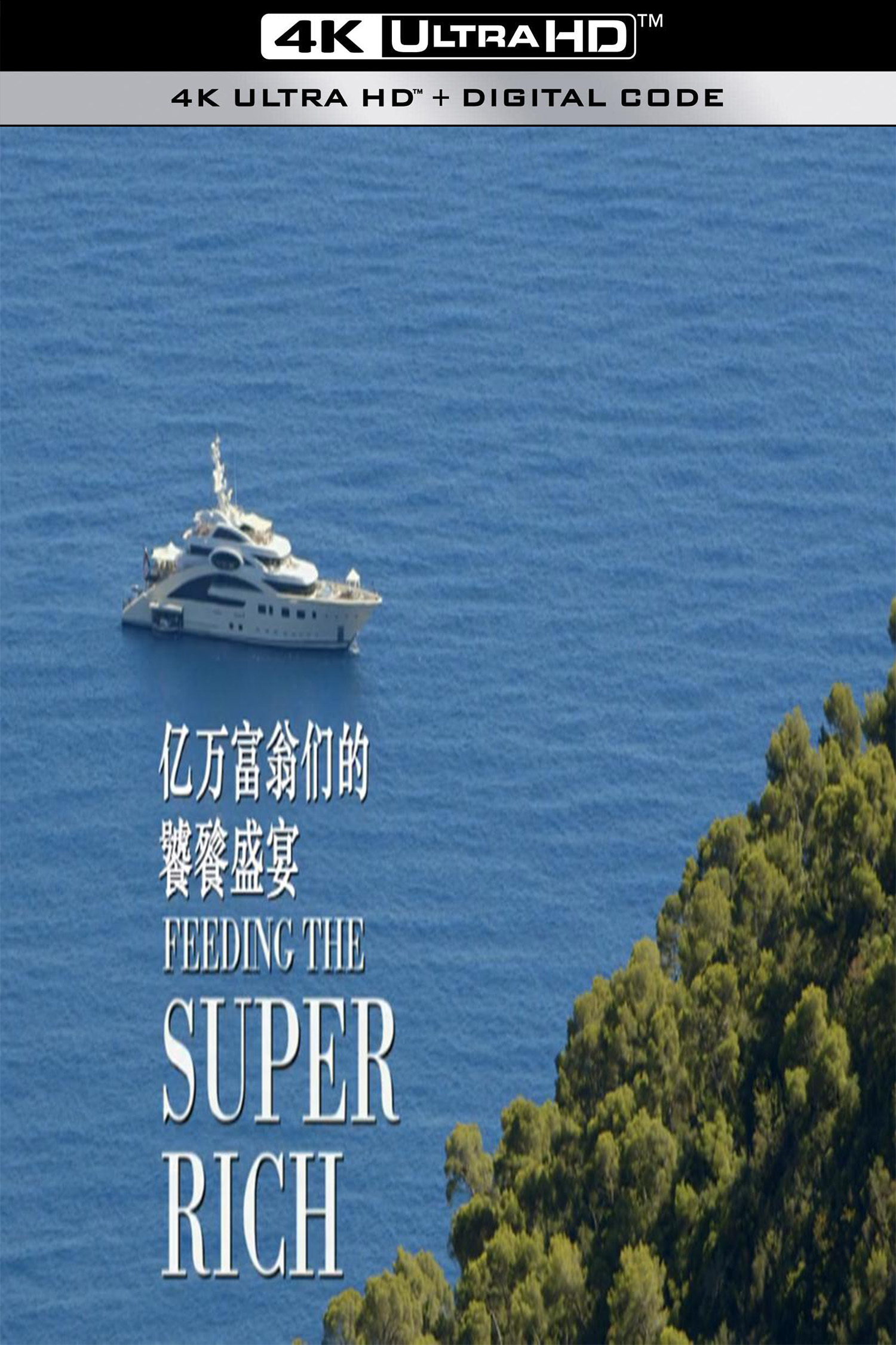 亿万富翁们的饕餮盛宴的海报-其他海报