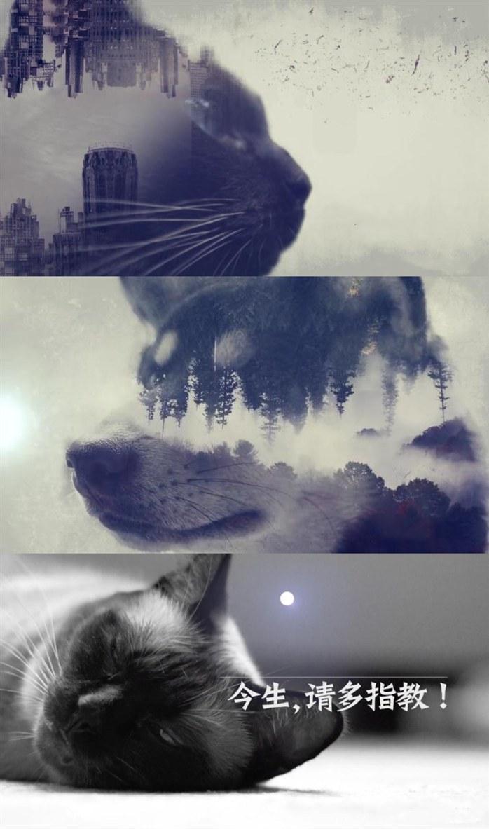 今生，请多指教的海报-正式海报