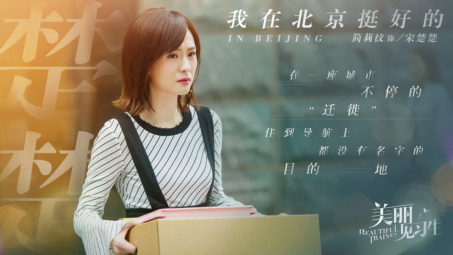 美丽见习生的海报-其他海报