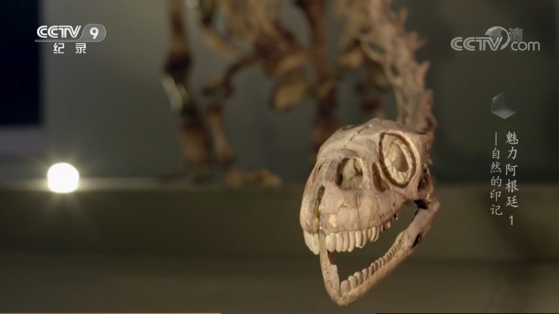 魅力阿根廷的海报-角色海报 阿根廷