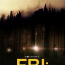 联邦调查局：通缉要犯 第四季