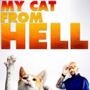 家有恶猫 第八季