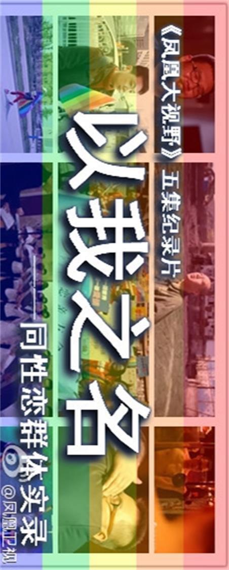 以我之名：中国同性恋群体实录的海报-正式海报