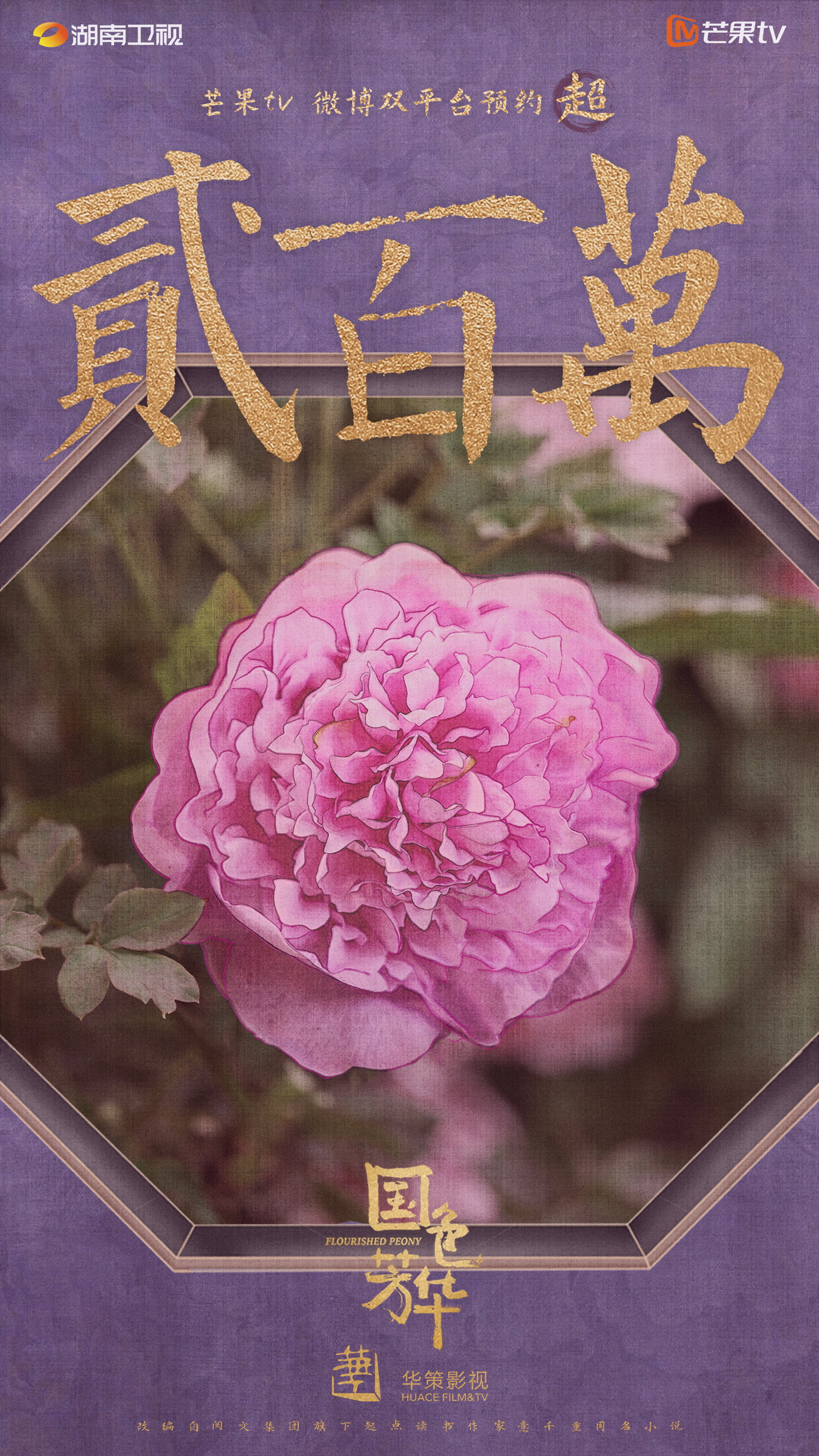 国色芳华的海报-其他海报 中国大陆