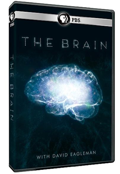 深入大脑的海报-正式海报