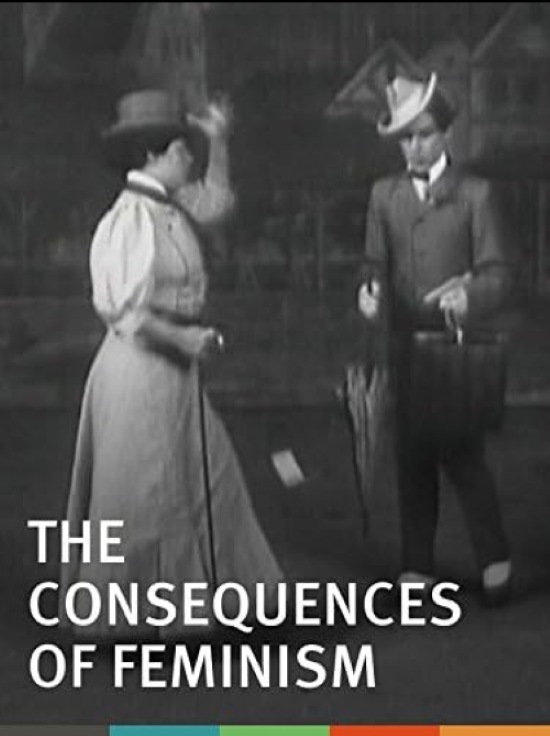 女权主义的结果的海报-正式海报