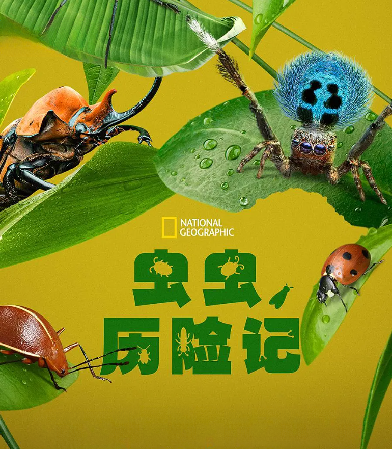 虫虫历险记的海报-其他海报 中国大陆