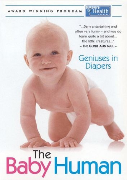 婴儿的成长的海报-正式海报