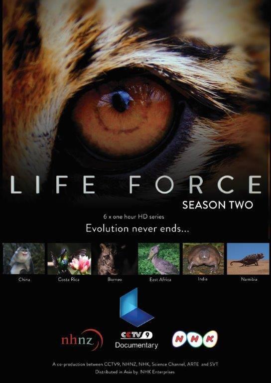 生命的力量 第二季的海报-正式海报