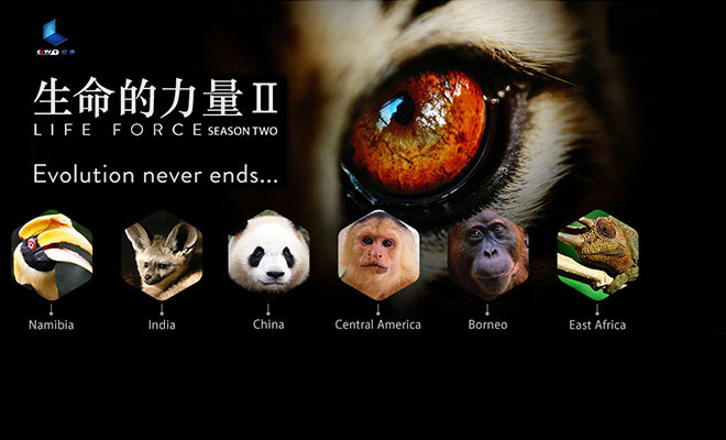 生命的力量 第二季的海报-其他海报 中国大陆