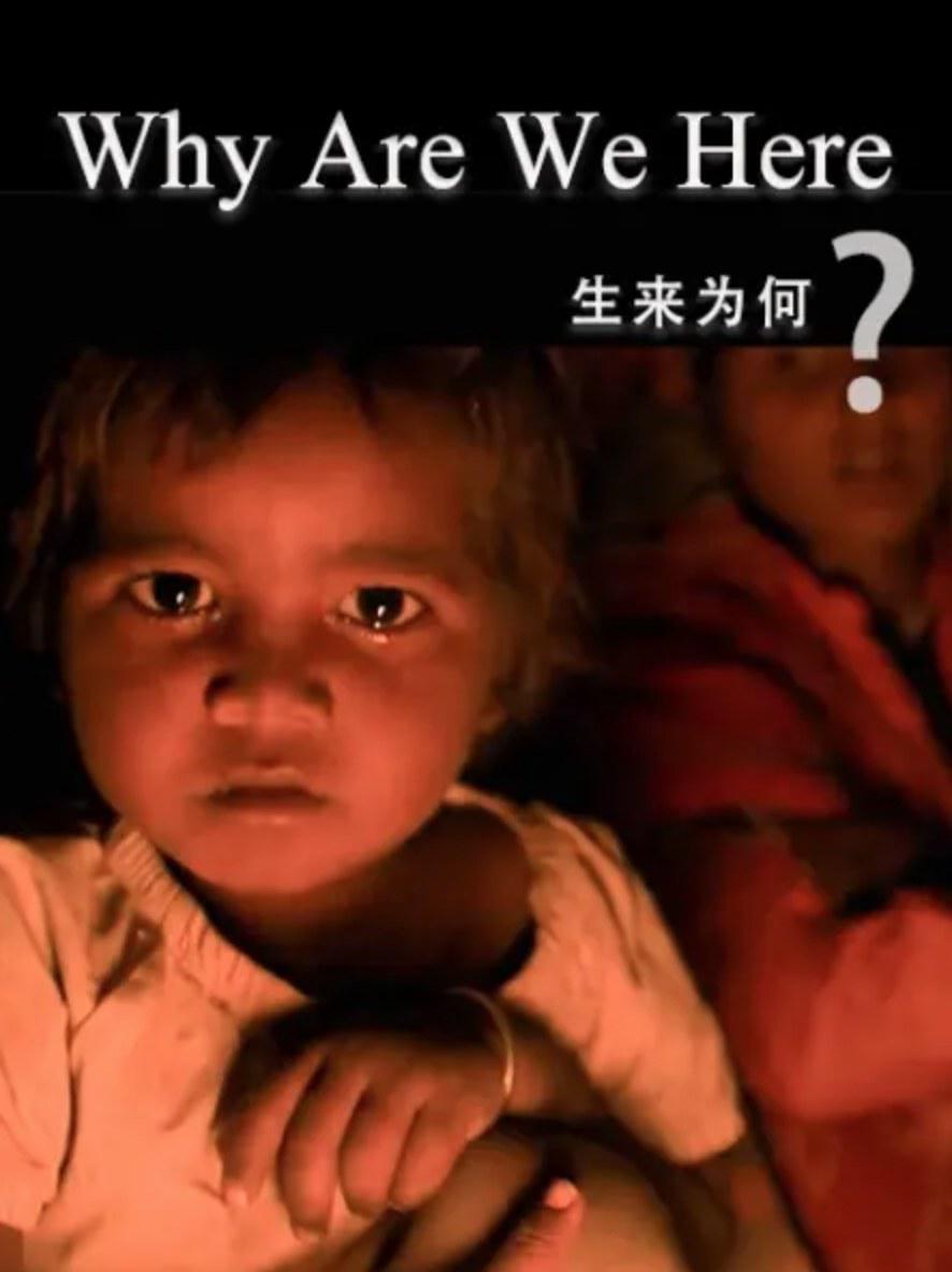 生来为何的海报-正式海报