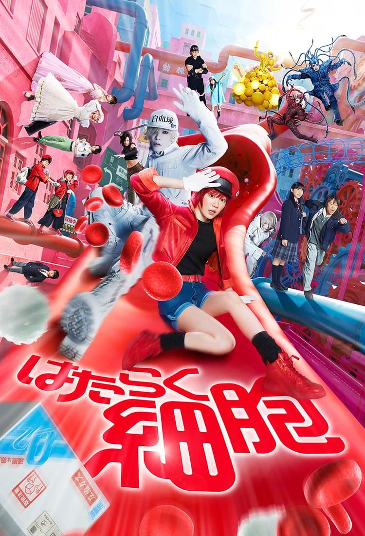 工作细胞 真人版的海报-正式海报 日本