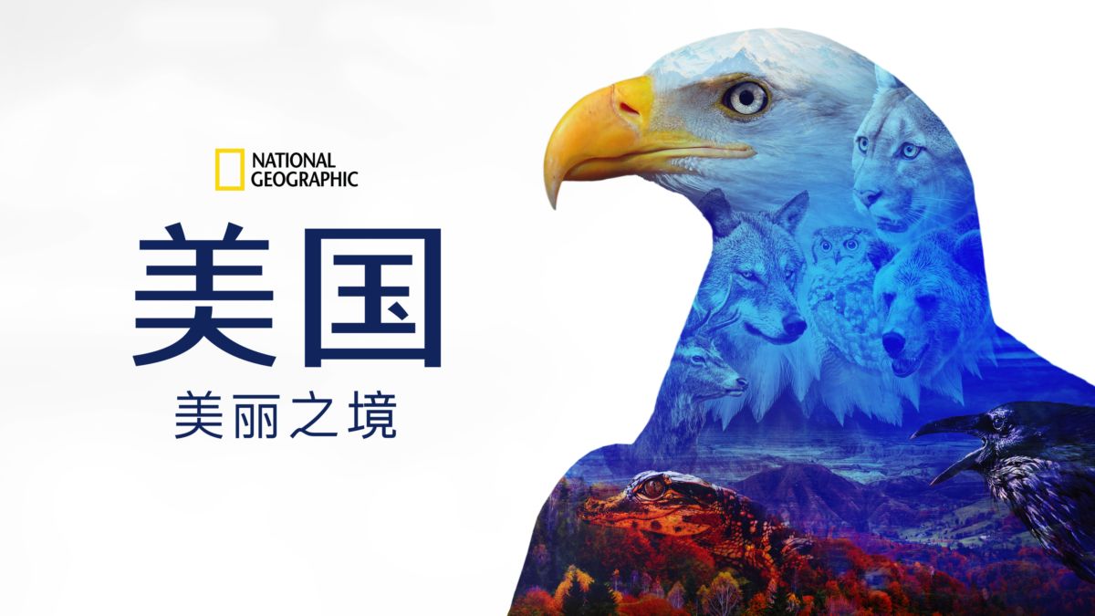 美丽美利坚的海报-正式海报 中国大陆