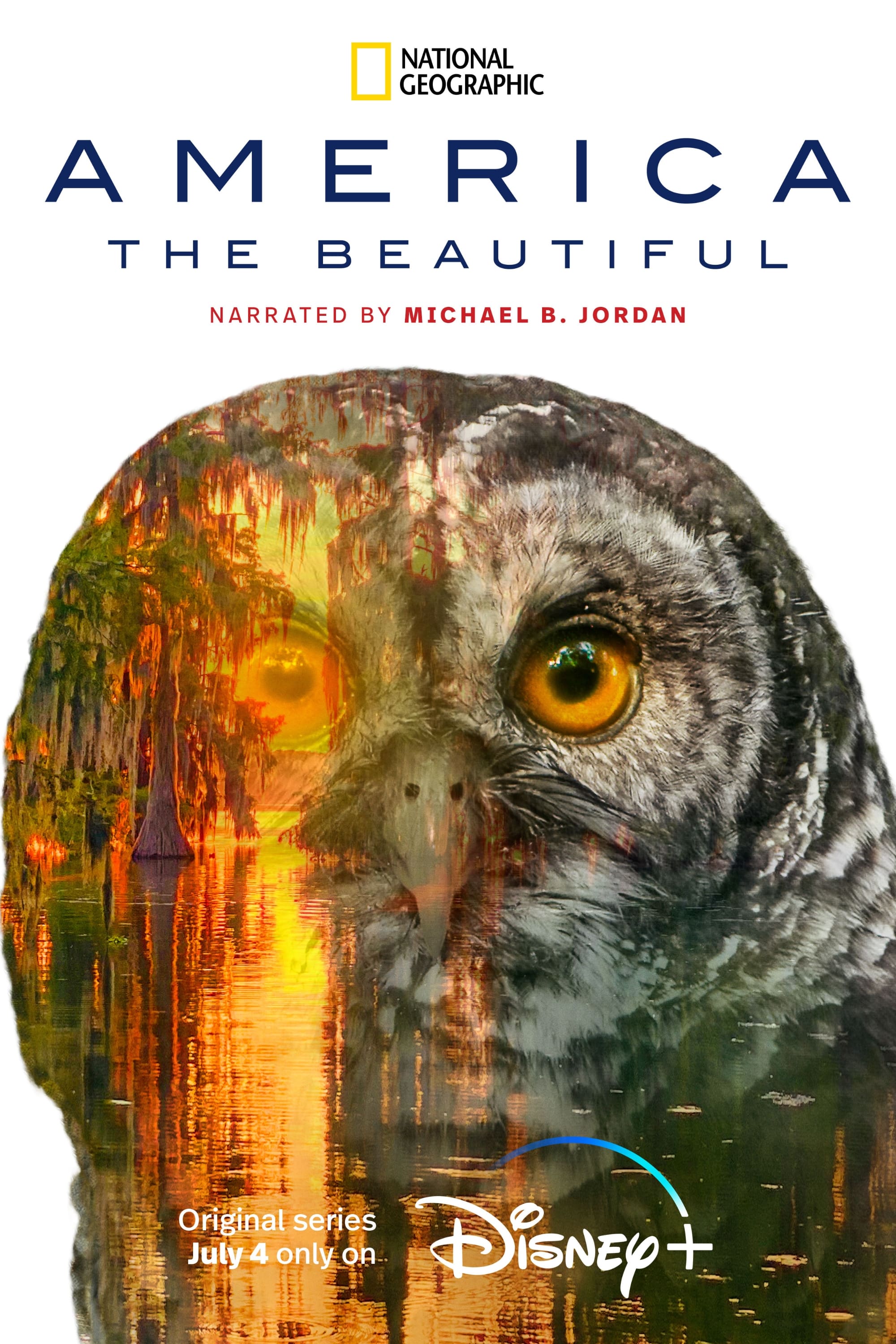 美丽美利坚的海报-正式海报