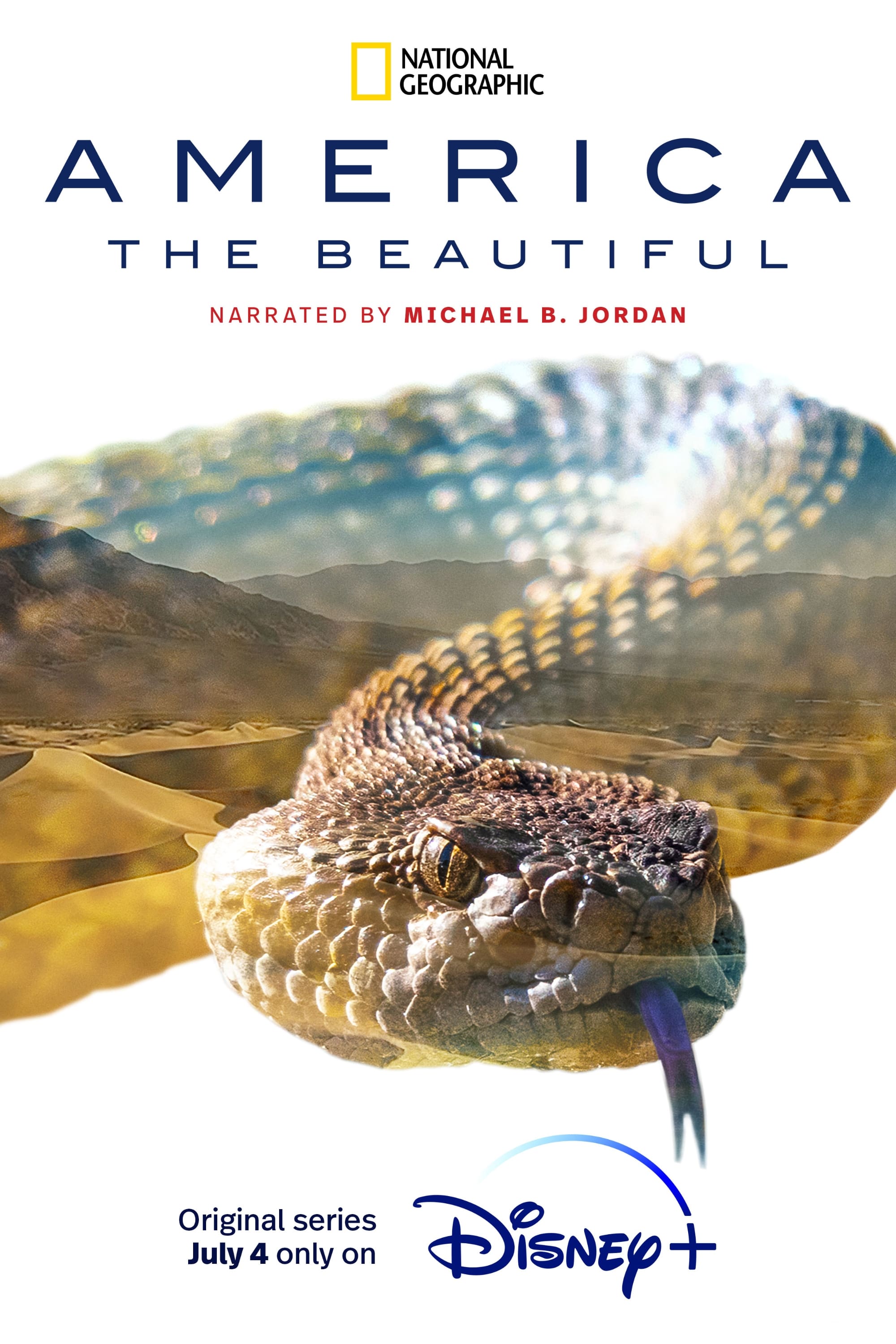 美丽美利坚的海报-正式海报