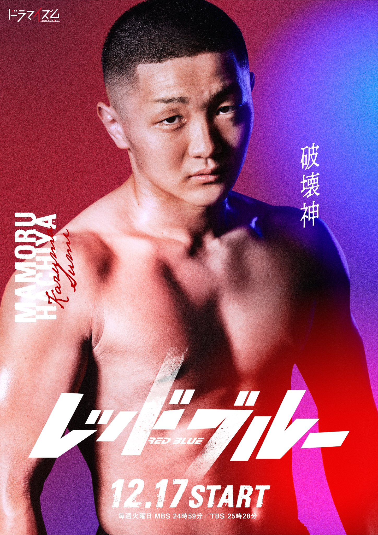 红蓝的海报-角色海报