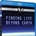 新星 第三十九季