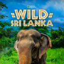 野性斯里兰卡