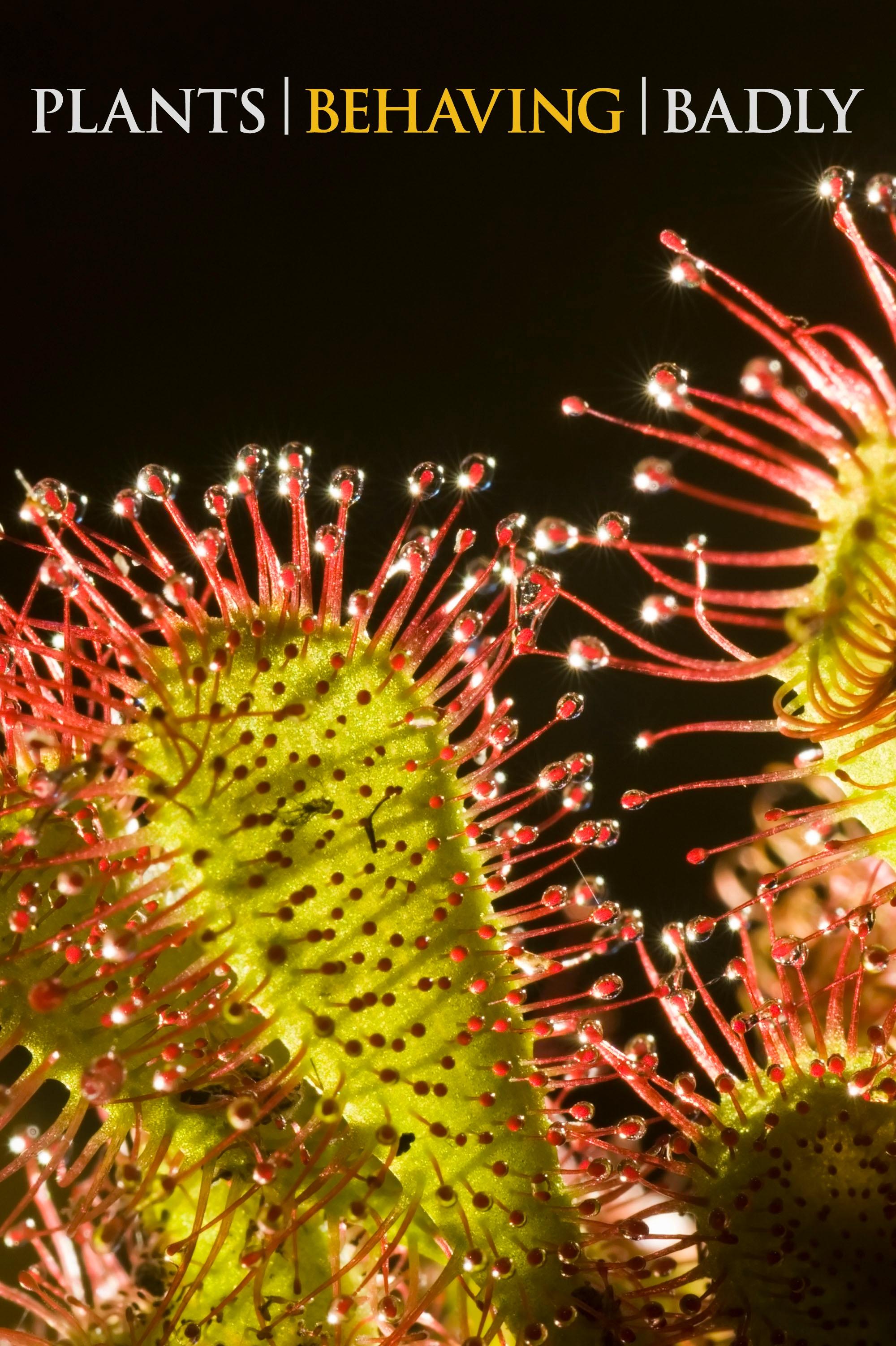 植物也坏坏的海报-正式海报 美国