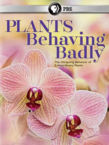 植物也坏坏的海报-其他海报