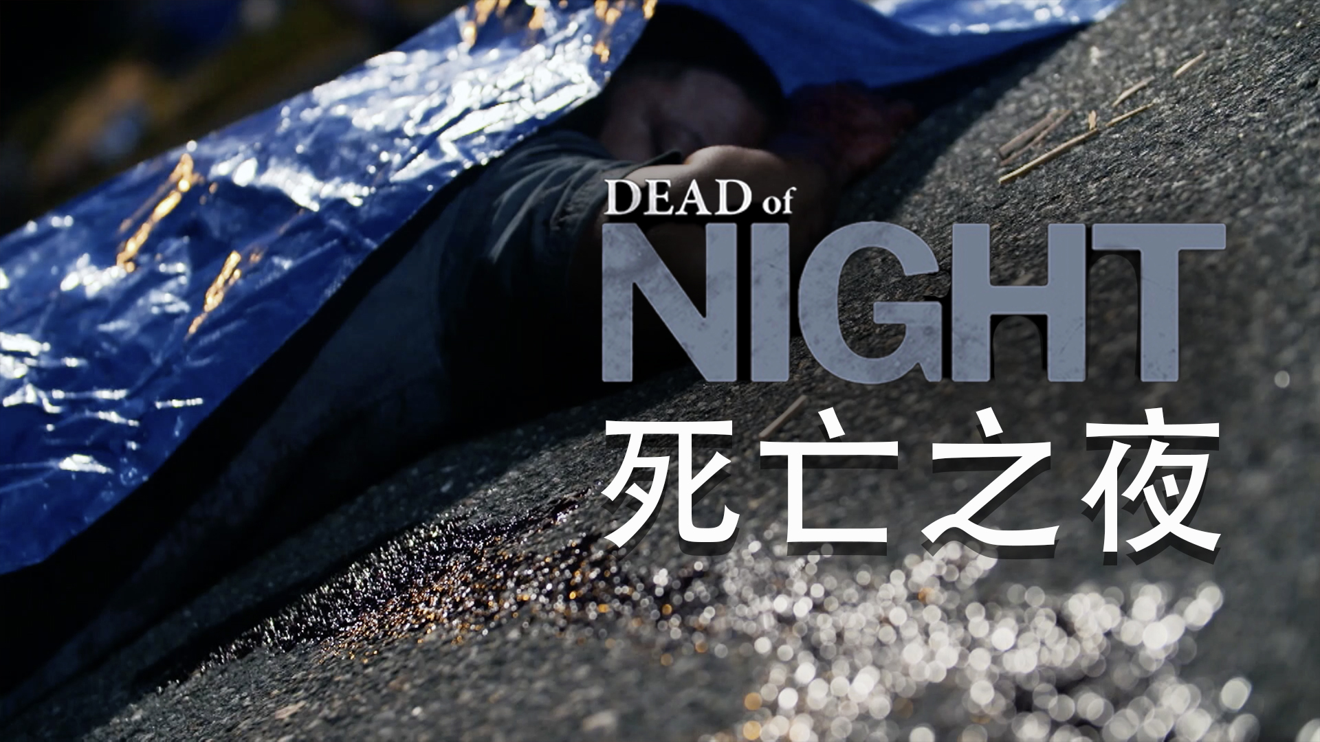 死亡之夜的海报-其他海报 美国