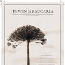 [pewen]araucaria