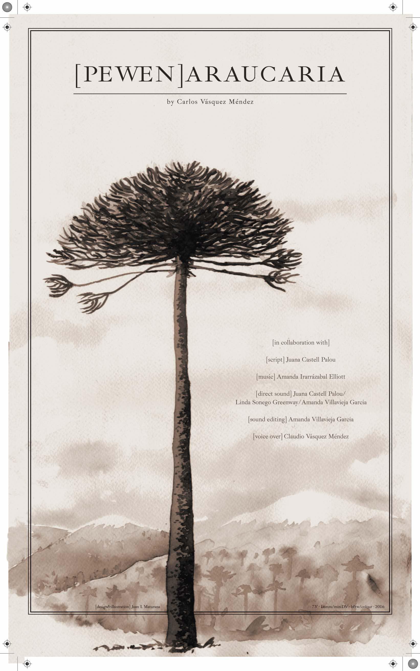 [pewen]araucaria的海报-正式海报