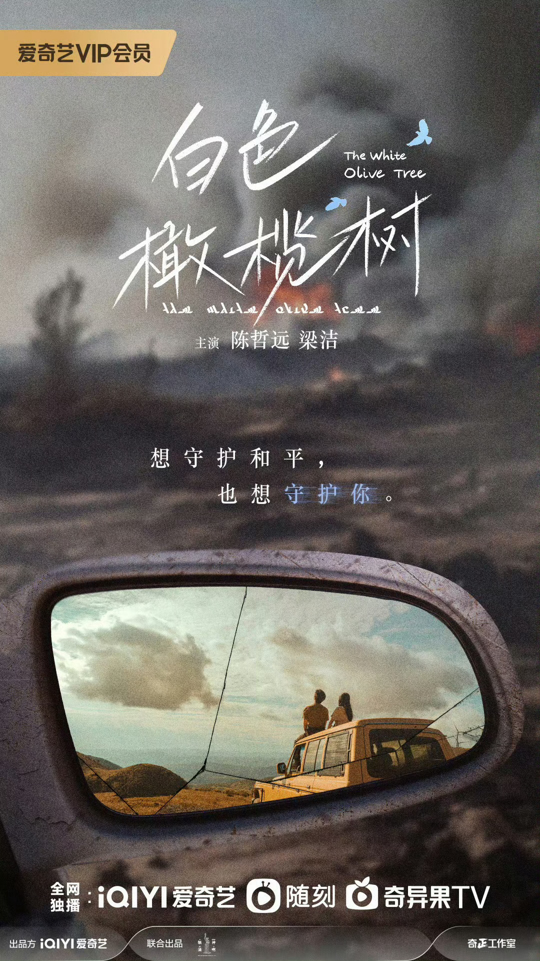 白色橄榄树的海报-预告海报 中国大陆