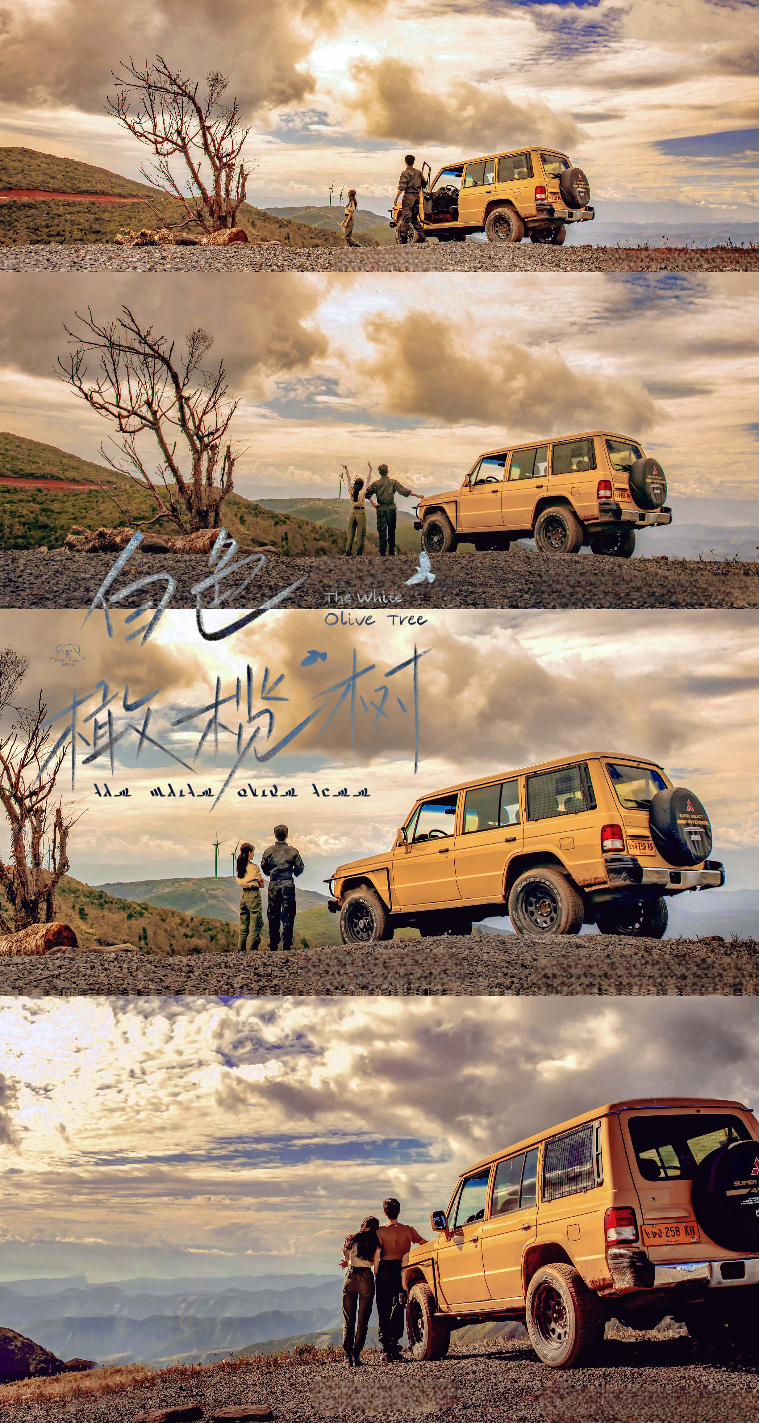 白色橄榄树的海报-正式海报