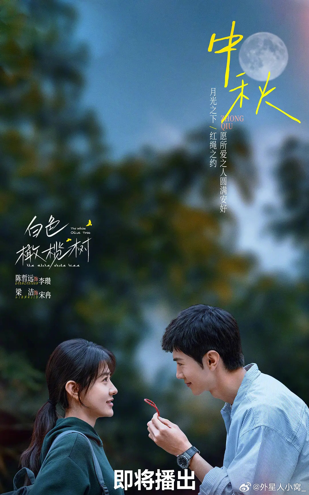 白色橄榄树的海报-预告海报 中国大陆