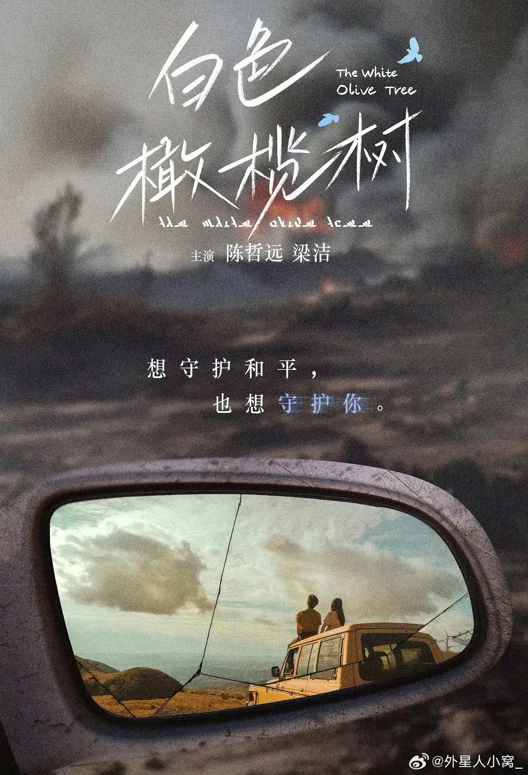 白色橄榄树的海报-预告海报 中国大陆