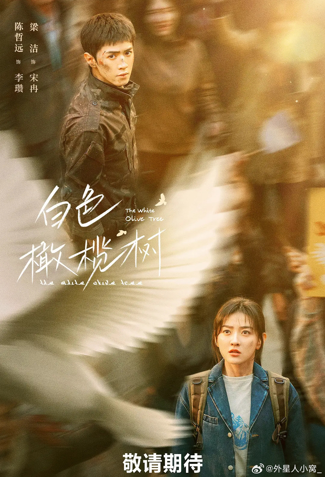 白色橄榄树的海报-预告海报 中国大陆