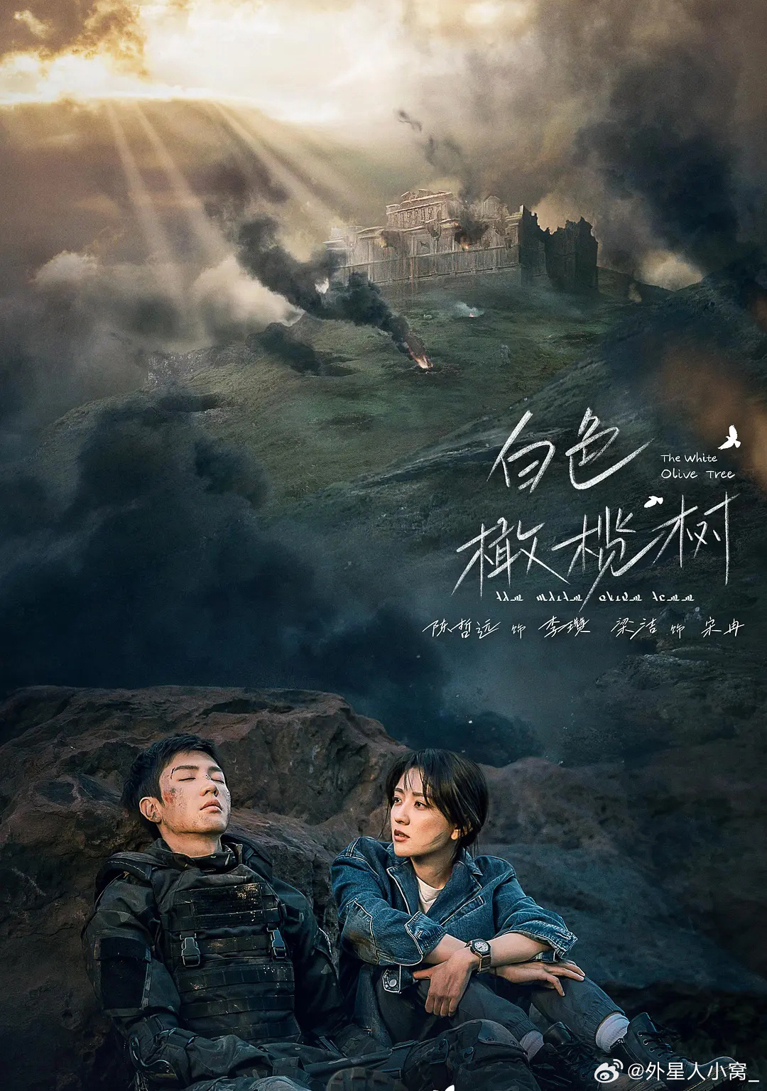 白色橄榄树的海报-预告海报 中国大陆