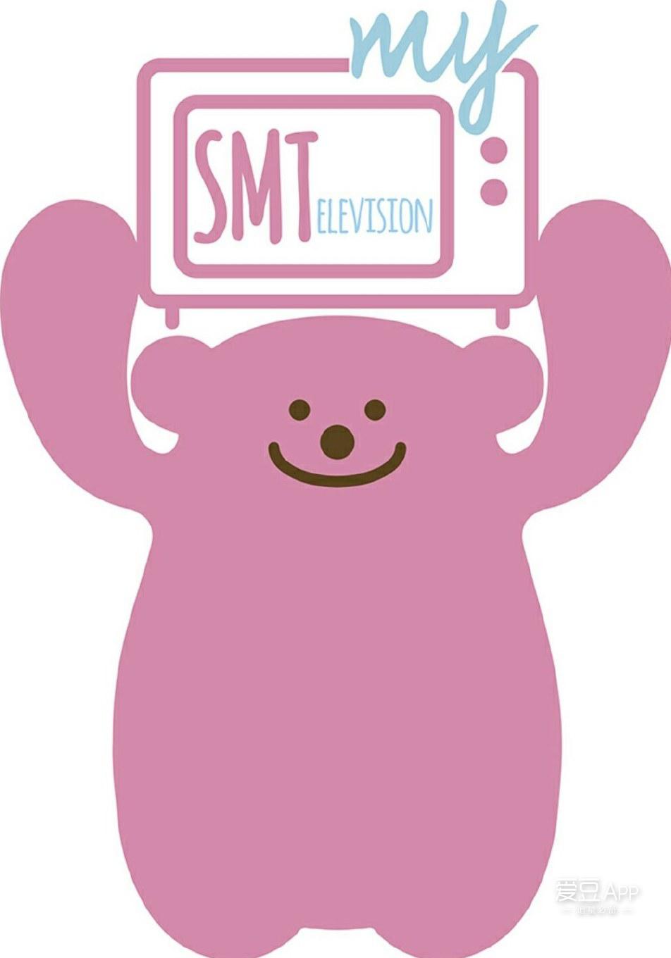 my SMT的海报-正式海报