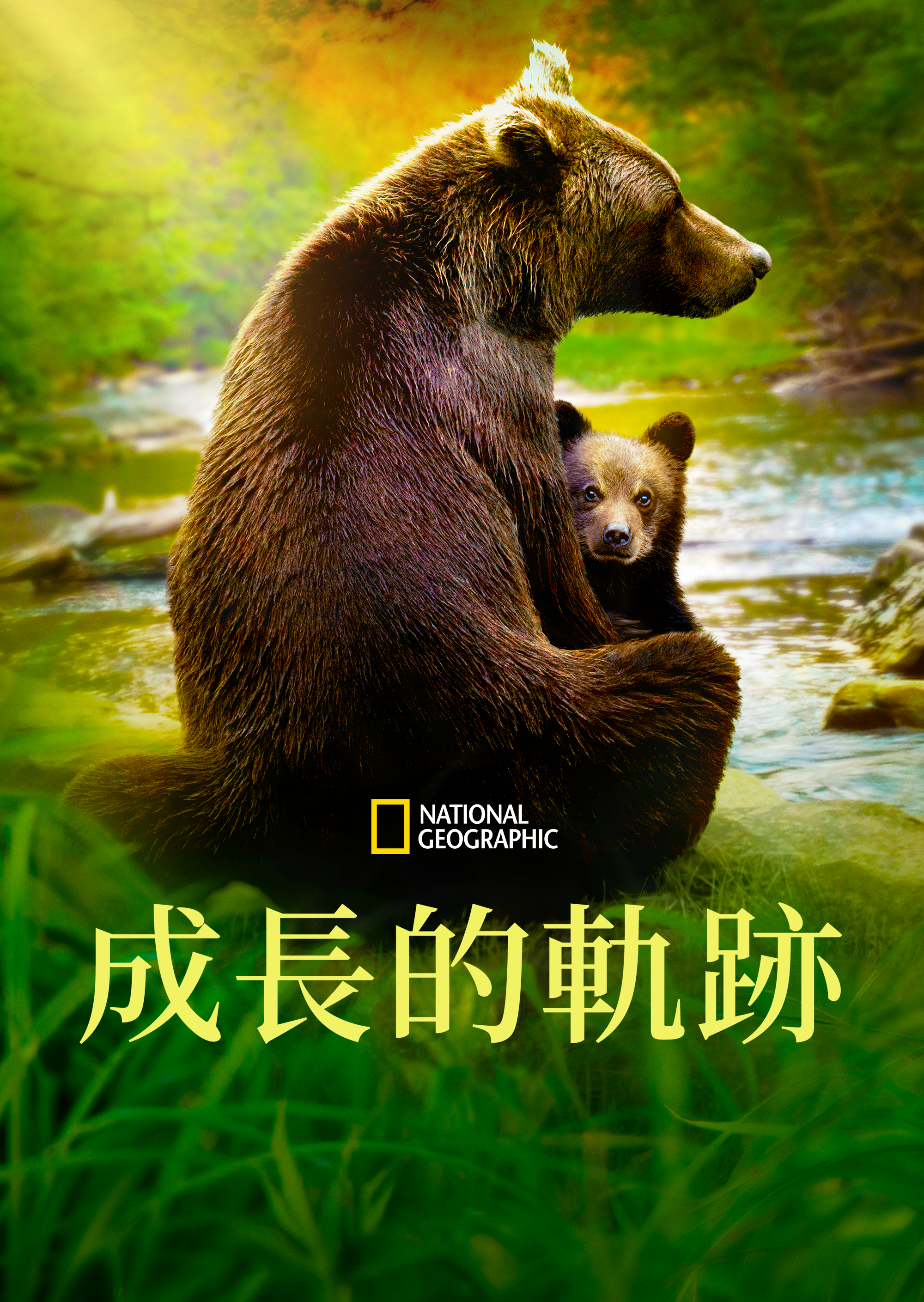 动物成长的海报-正式海报 中国香港