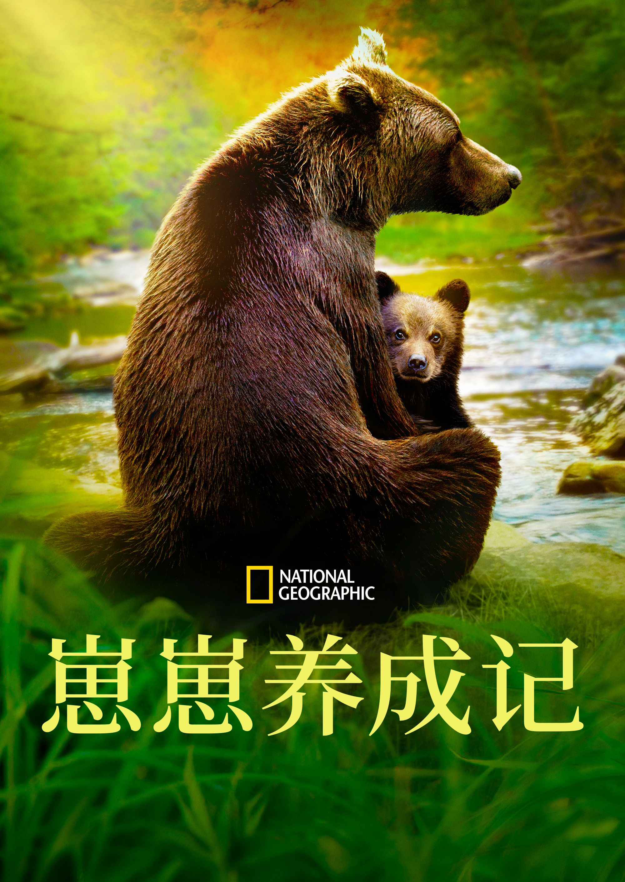 动物成长的海报-正式海报 新加坡