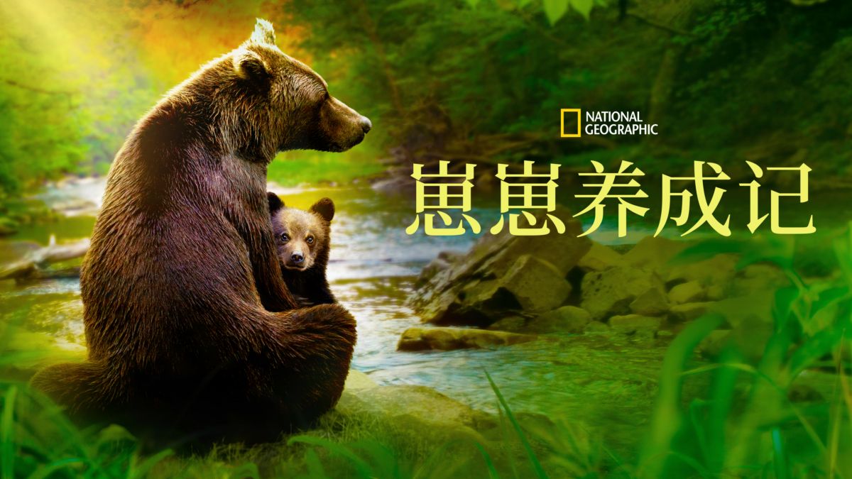 动物成长的海报-正式海报 中国大陆