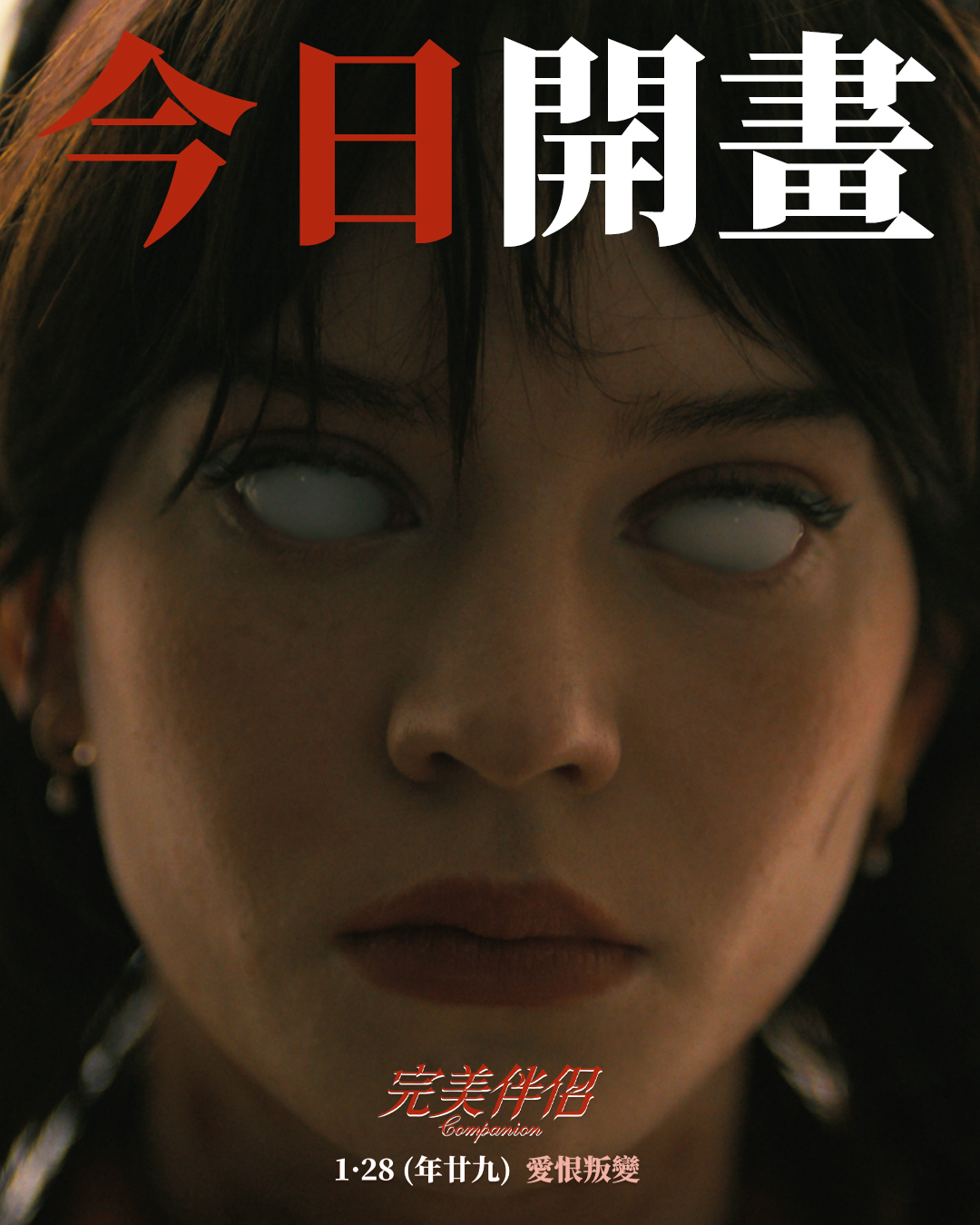 完美伴侣的海报-其他海报 中国香港