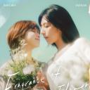 第一次遇见花香的那刻2