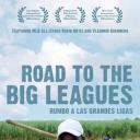 Road to the Big Leagues