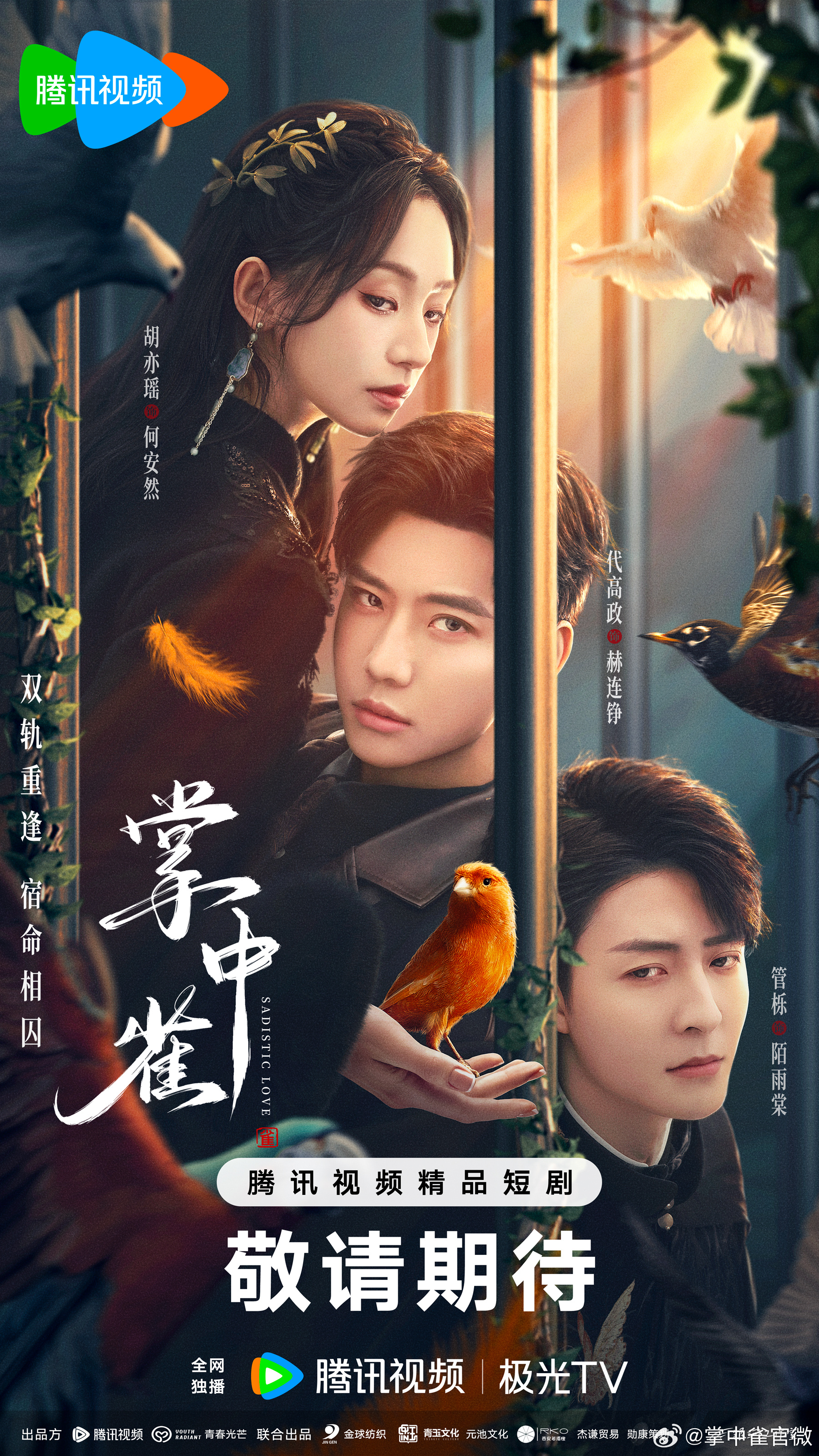 掌中雀的海报-预告海报 中国大陆