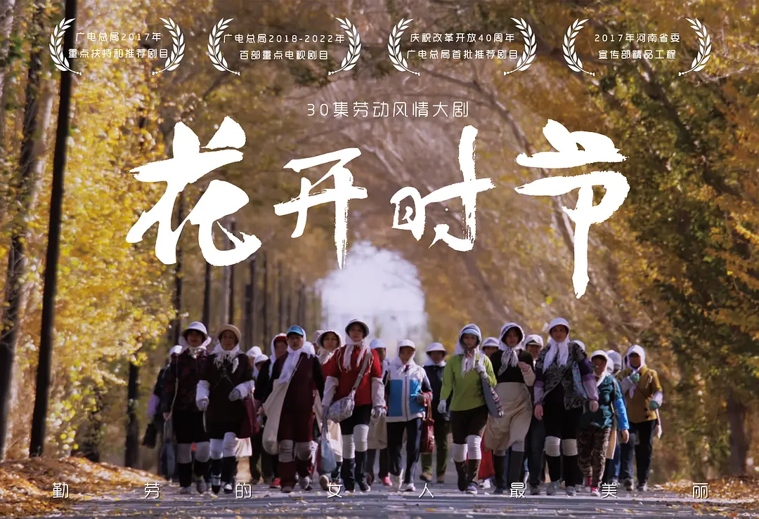 花开时节的海报-正式海报