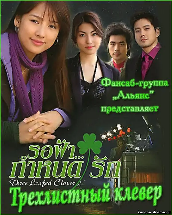 三叶草的海报-正式海报