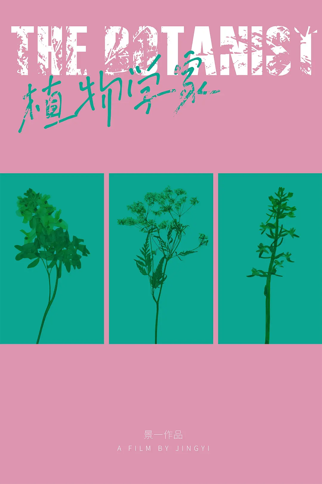 植物学家的海报-其他海报