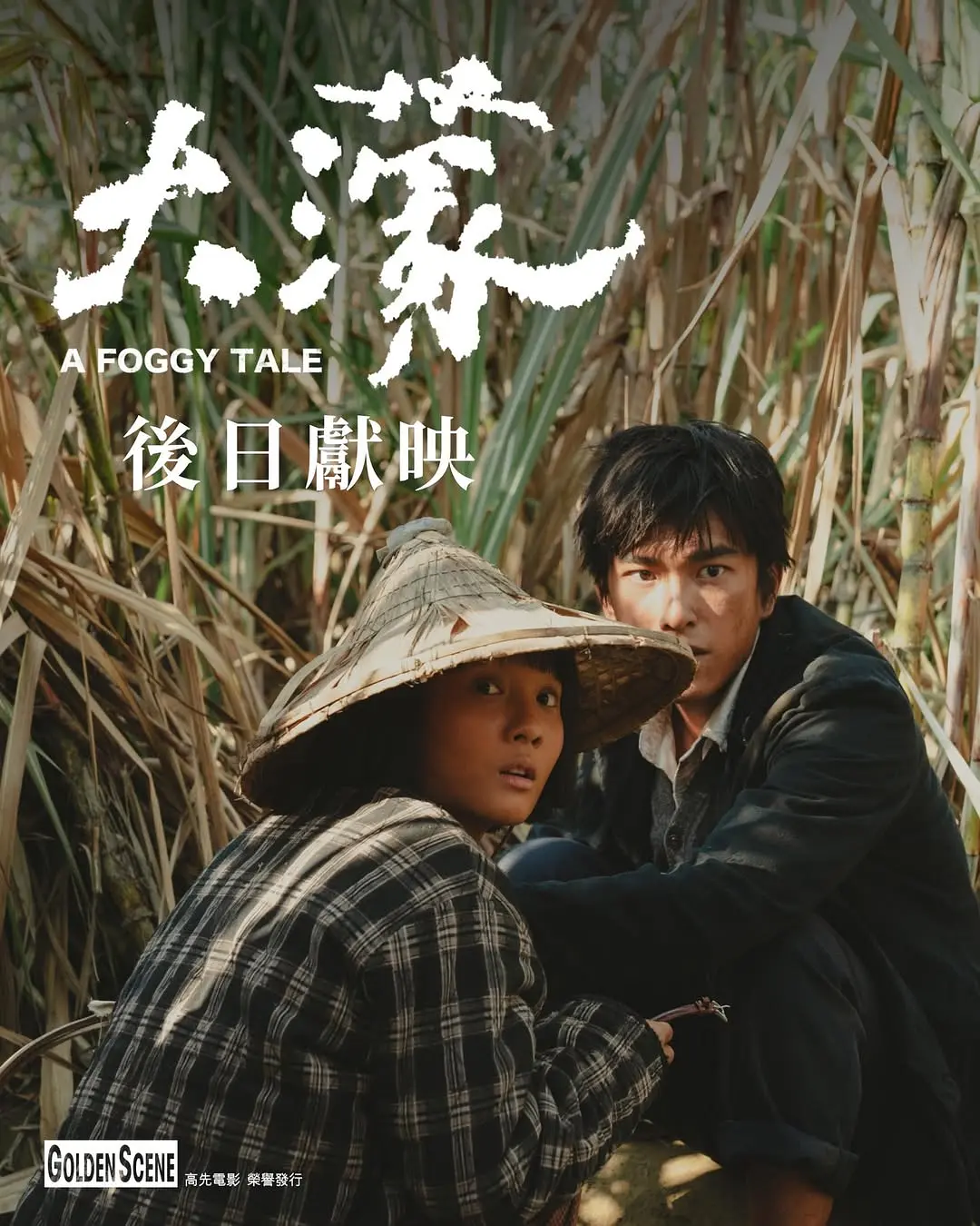 大濛的海报-预告海报