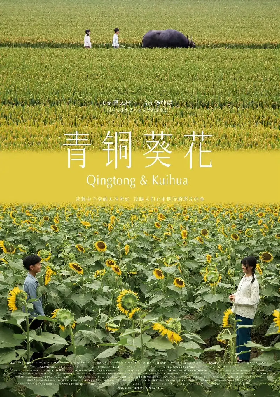 青铜葵花的海报-预告海报 中国大陆